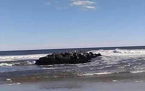 December Asbury Park High School Beach