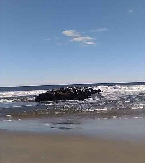 December Asbury Park High School Beach